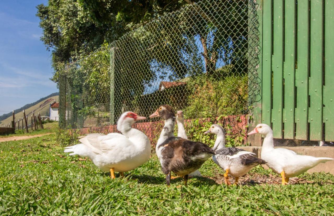 Jaconé Hotel Fazenda Canto Da Serra מראה חיצוני תמונה
